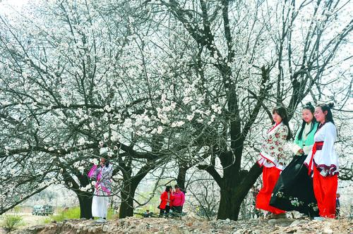 太阳集团城 光伏能源 古天乐股份